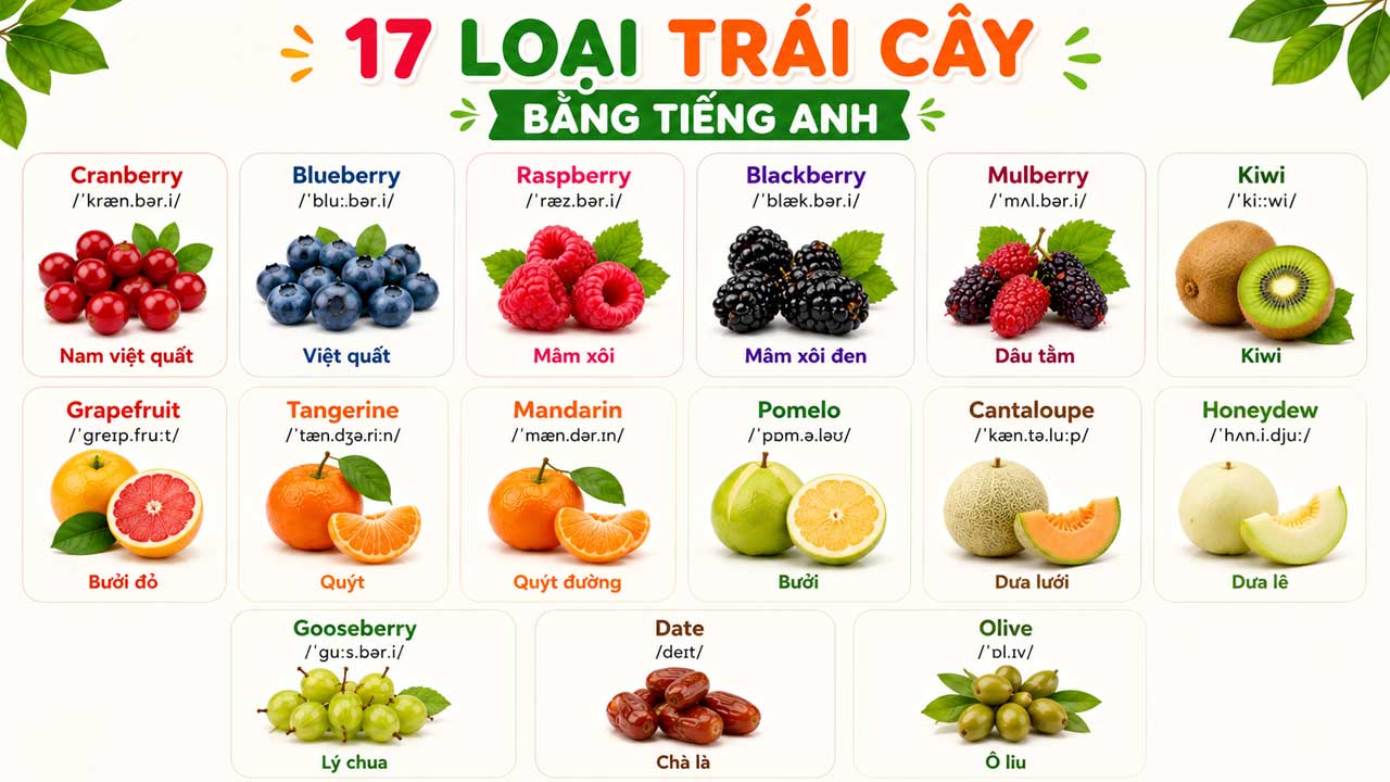 50 Loại Trái Cây Bằng Tiếng Anh Kèm Phiên Âm