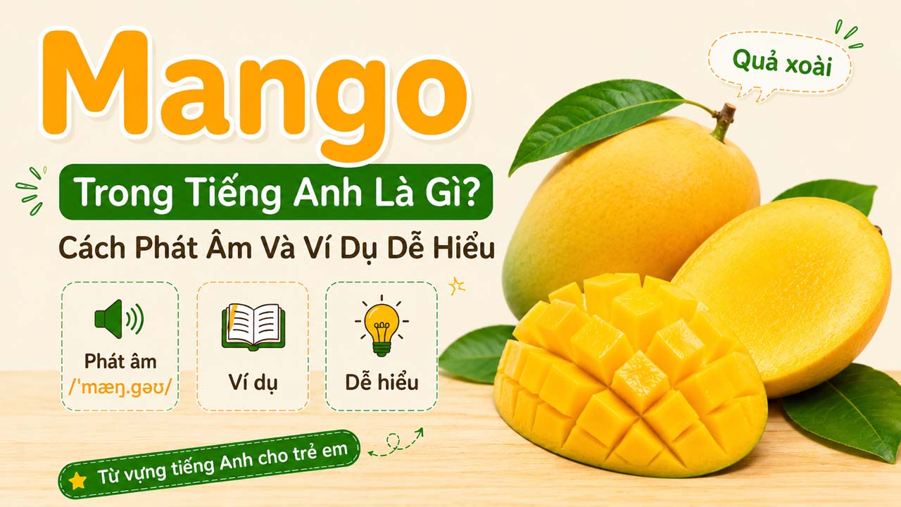 Mango trong tiếng Anh là gì - quả xoài tiếng Anh kèm phiên âm và nghĩa tiếng Việt