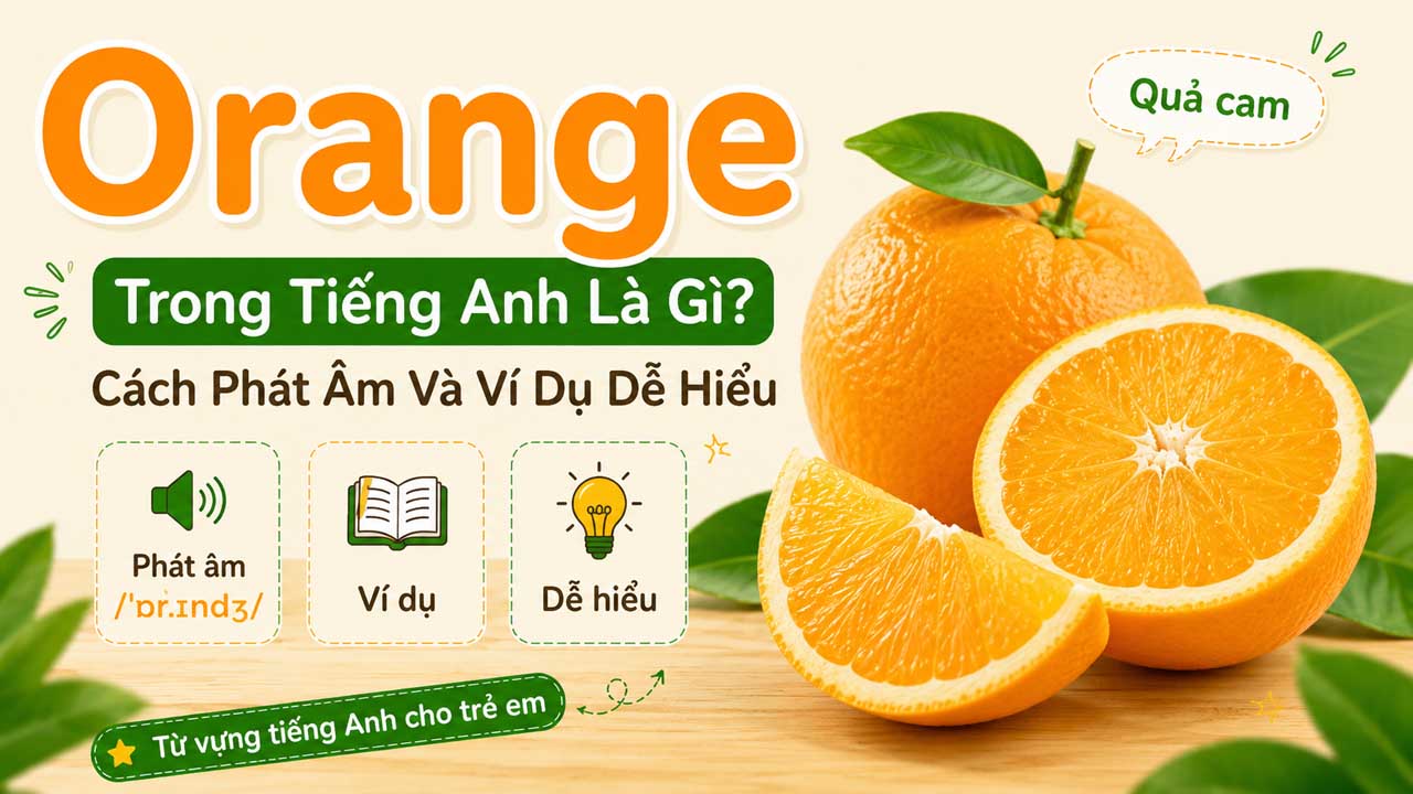 Orange trong tiếng Anh là gì - quả cam tiếng Anh kèm phiên âm và nghĩa tiếng Việt